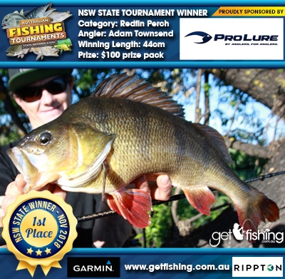 Redfin Perch 44cm Adam Townsend Fish4Cash Fish4Cash