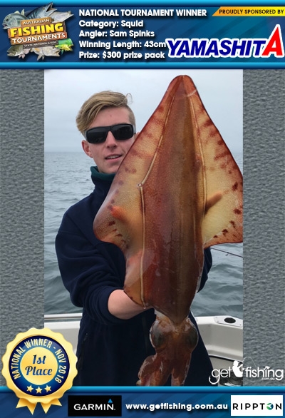 Squid 43cm Sam Spinks Fish4Cash Fish4Cash