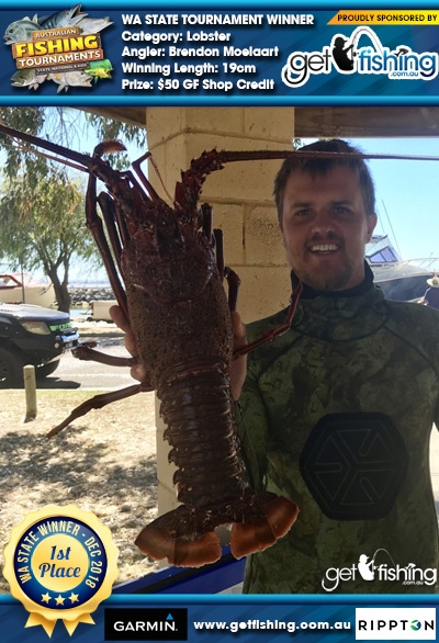 Lobster 19cm Brendon Moelaart Get Fishing $50 GF Shop Credit