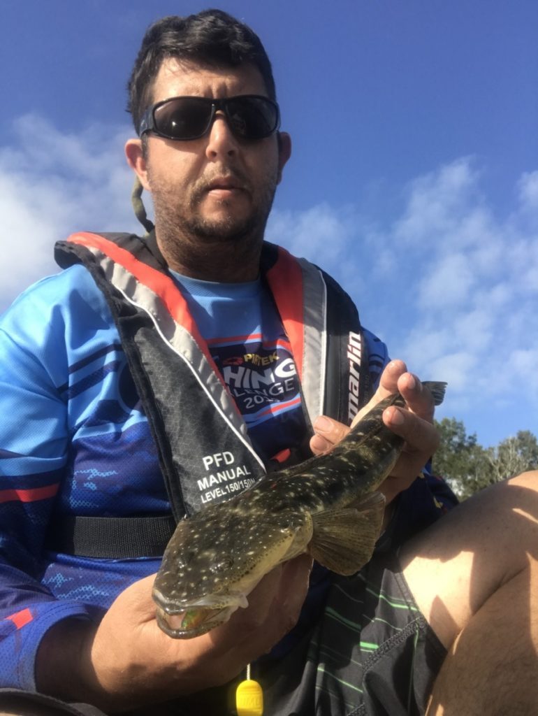 adam lalor   flathead (dusky)