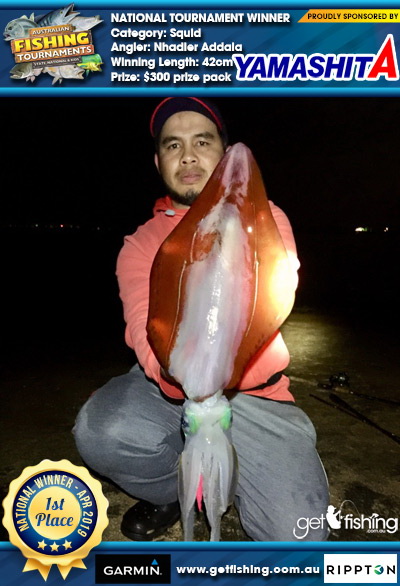 Squid 42cm Nhadier Addala Yamashita $300 prize pack