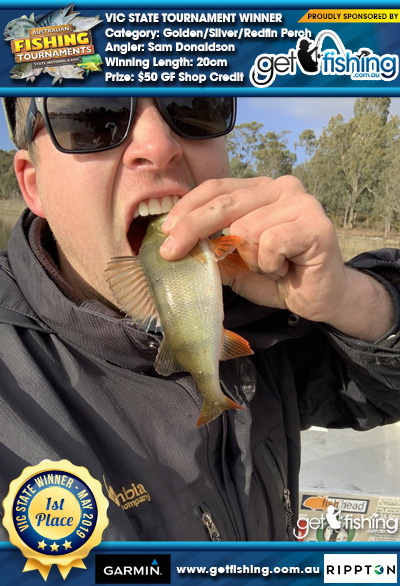 Golden/Silver/Redfin Perch 20cm Sam Donaldson Get Fishing $50 GF Shop Credit