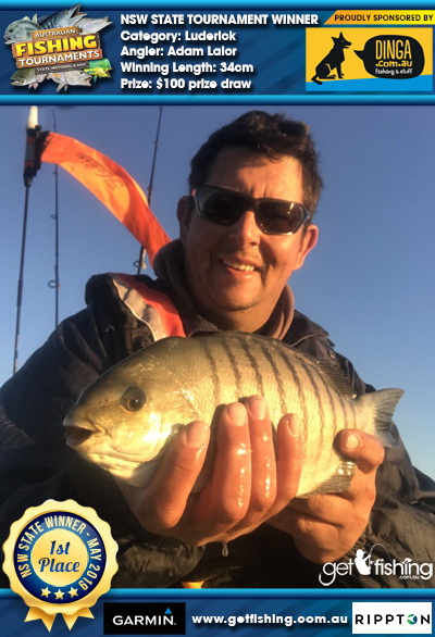Luderick 34cm Adam Lalor Dinga Fishing $100 prize draw