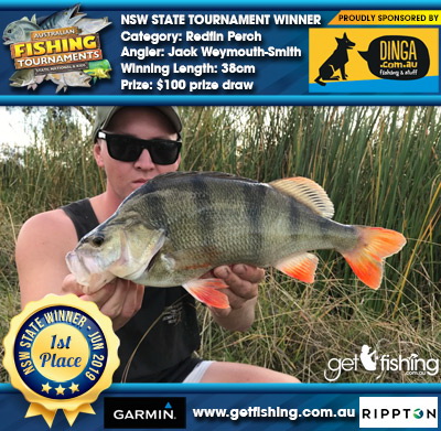 Redfin Perch 38cm Jack Weymouth-Smith Dinga Fishing $100 prize draw