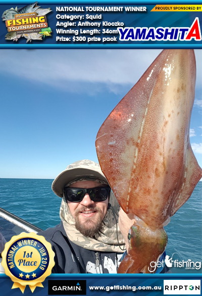 Squid 34cm Anthony Kloczko Yamashita $300 prize pack