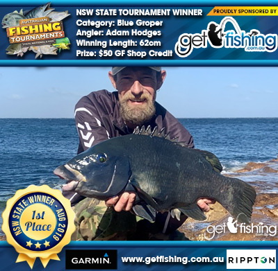 Blue Groper 62cm Adam Hodges Get Fishing $50 GF Shop Credit