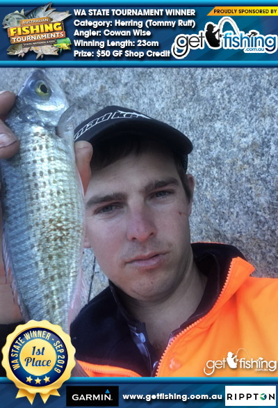 Herring (Tommy Ruff) 23cm Cowan Wise Get Fishing $50 GF Shop Credit