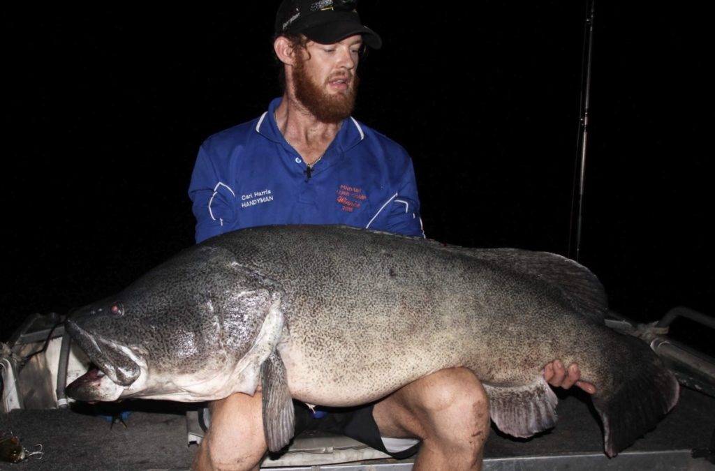 Ty Edmonds - 130 - Murray Cod